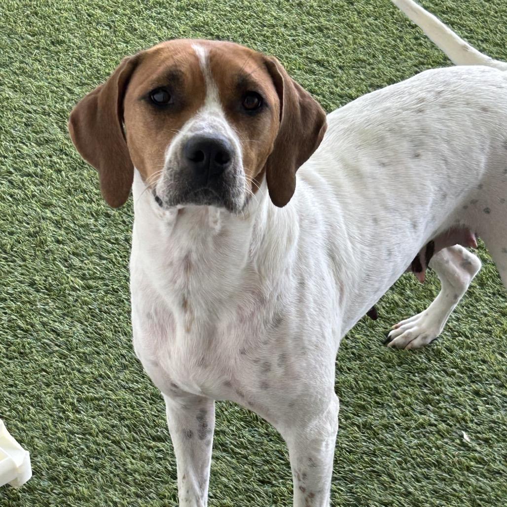 Sweet Girl thumbnail 2