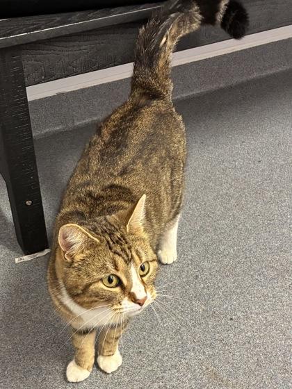 Pilates Princess — thumbnail 2