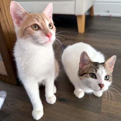 Lanny & Lucas photo 3