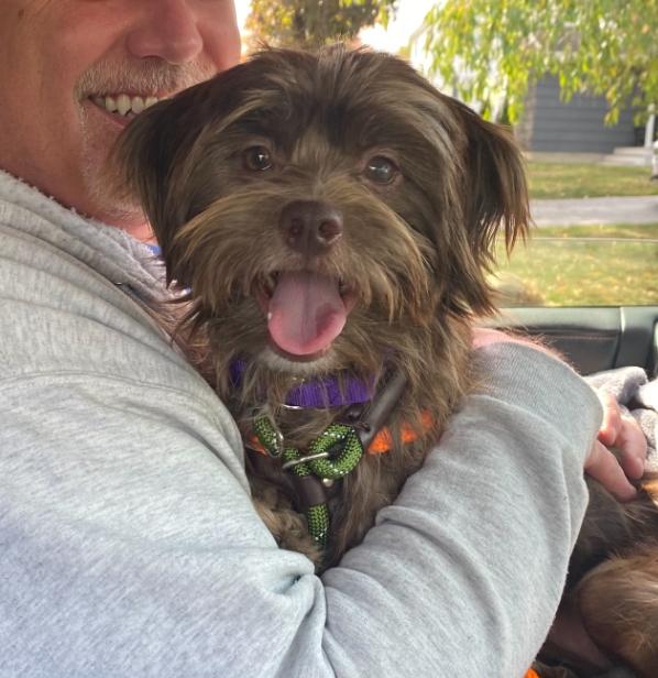 Enlarge Leopold, a Adopted Mixed Breed in Portland, ME image 2/5