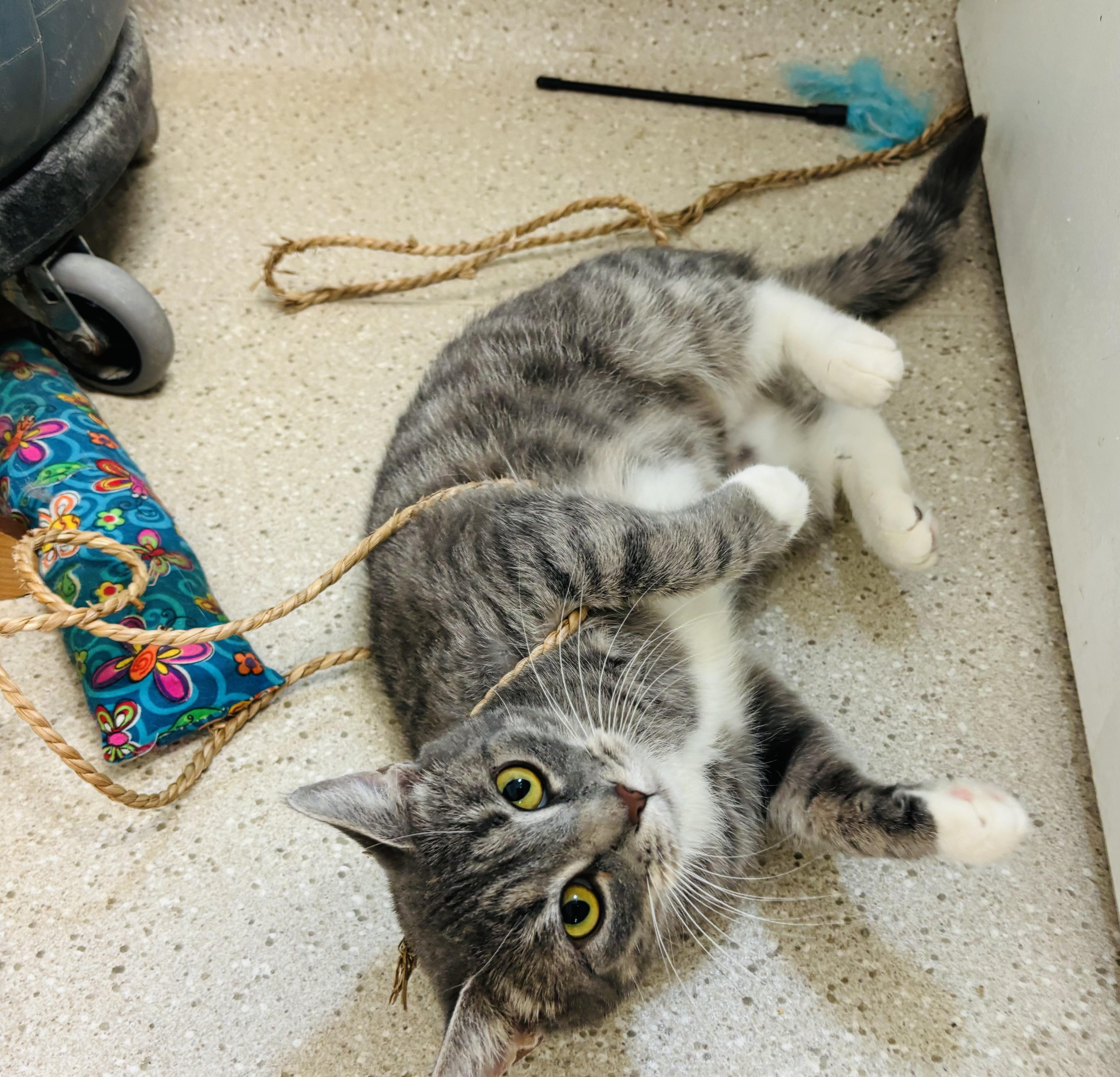 Becca — thumbnail 1