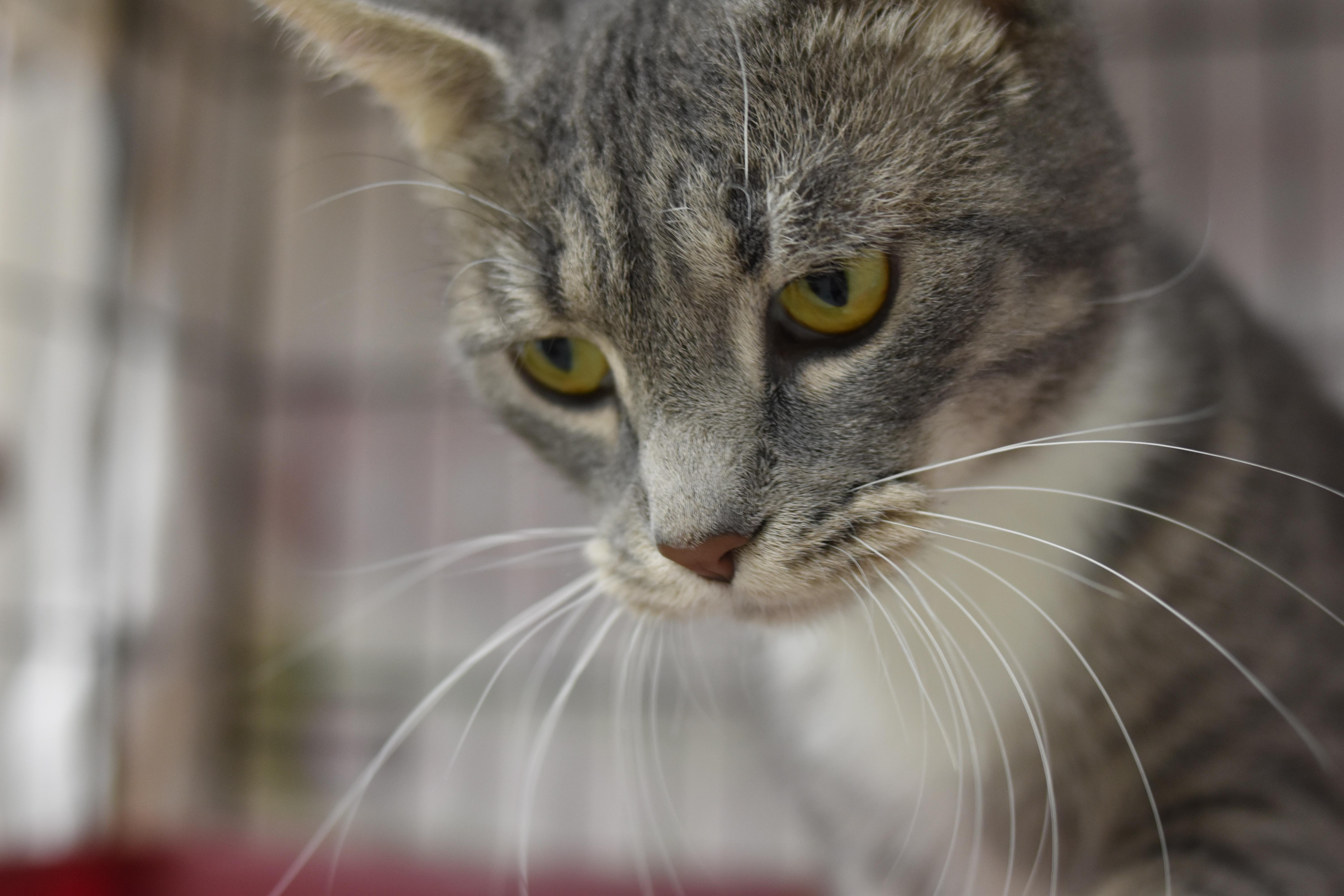 Becca — thumbnail 2