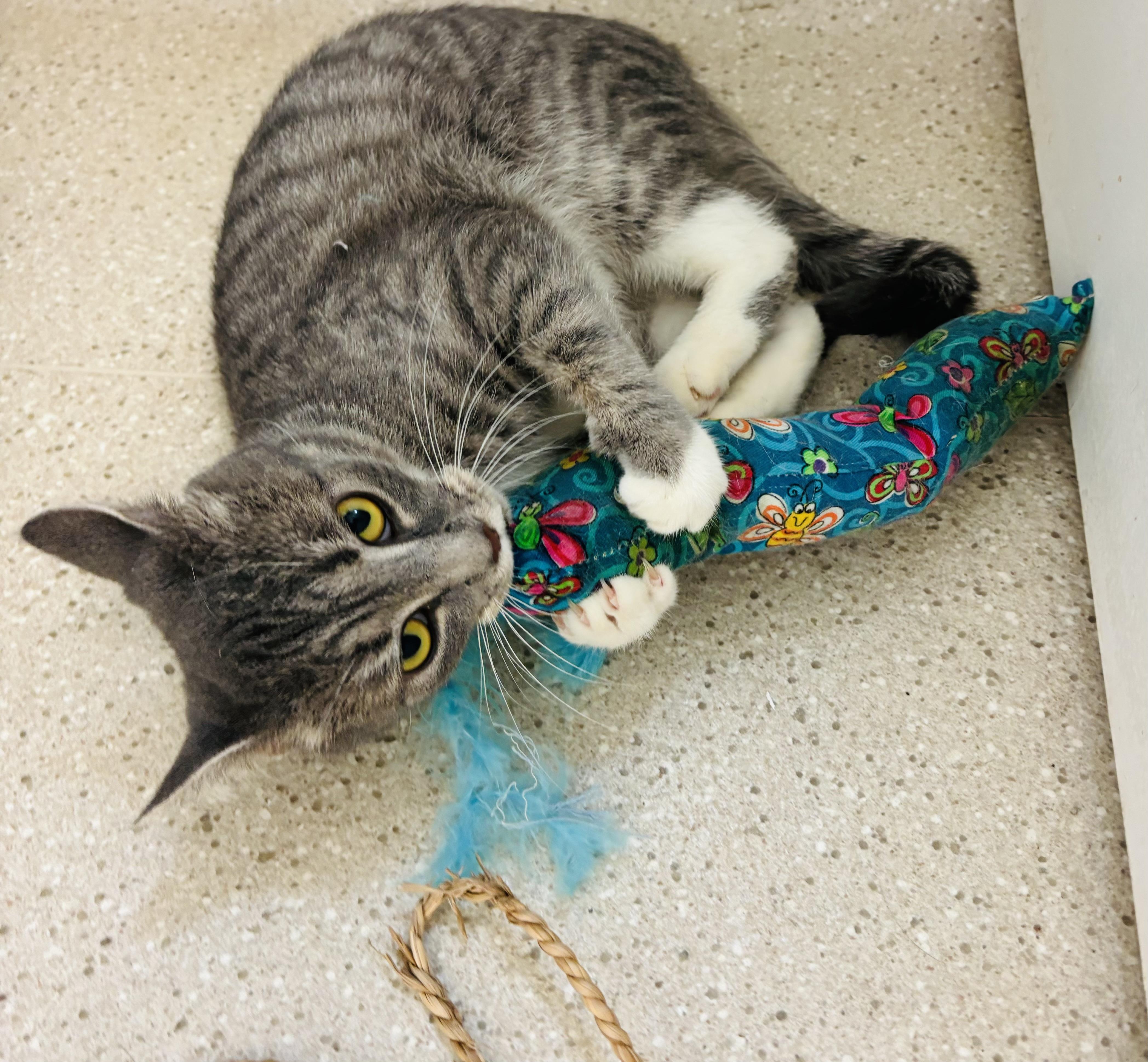 Becca — thumbnail 3