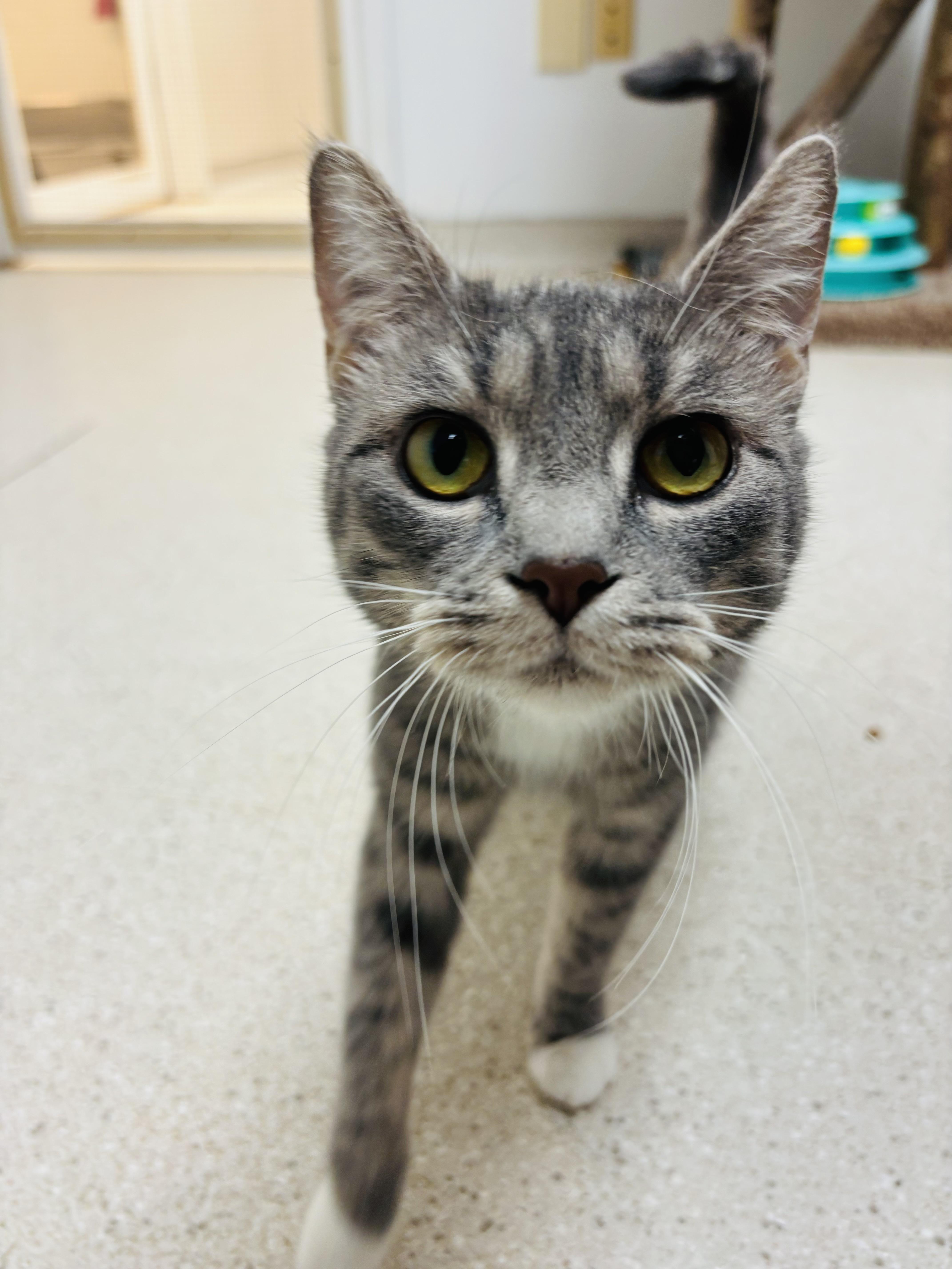 Becca — thumbnail 5