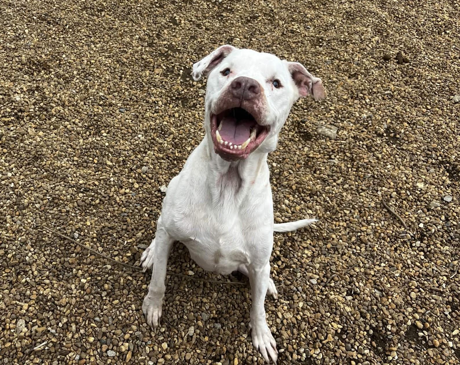 Barnaby — thumbnail 5