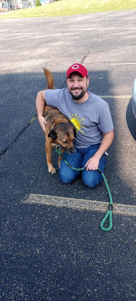 Howie, a Adoptable mixed breed in Cincinnati, OH image 6/15