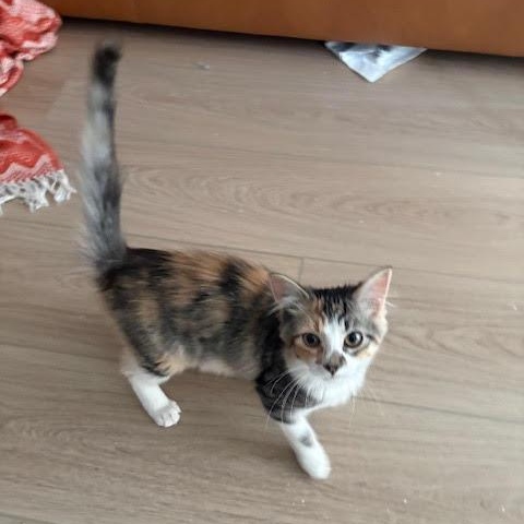 Mama Paige & Sugar Plum