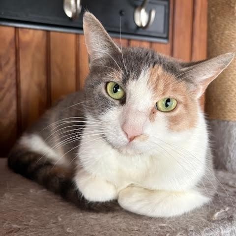 Mama Paige & Sugar Plum — thumbnail 2