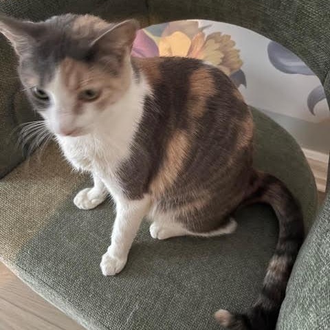 Mama Paige & Sugar Plum — thumbnail 3