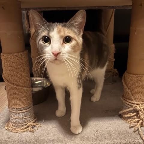 Mama Paige & Sugar Plum — thumbnail 6