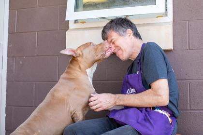 Enlarge Bugz-IN FOSTER, a Adoptable Mixed Breed in Chamblee, GA image 2/3