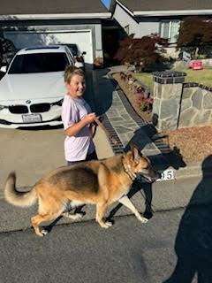 Enlarge Charlie, a Adoptable German Shepherd Dog in Fulton, CA image 5/6