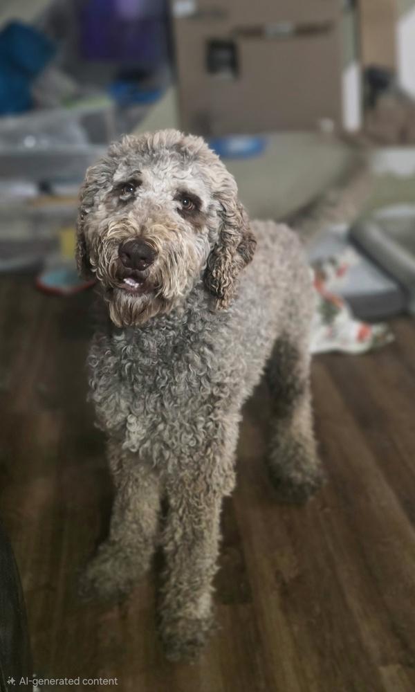 Diesel Doo photo