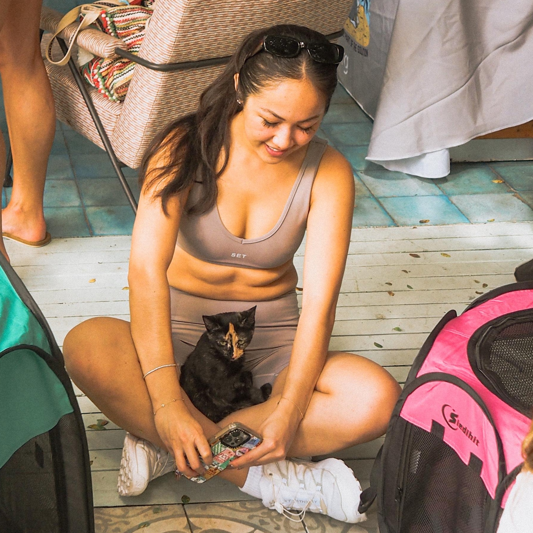 Cali, a Adoptable Tortoiseshell in Miami Beach, FL image 5/6