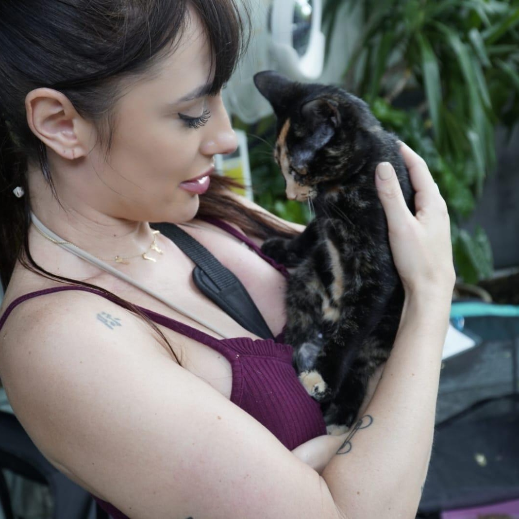 Cali, a Adoptable Tortoiseshell in Miami Beach, FL image 3/6