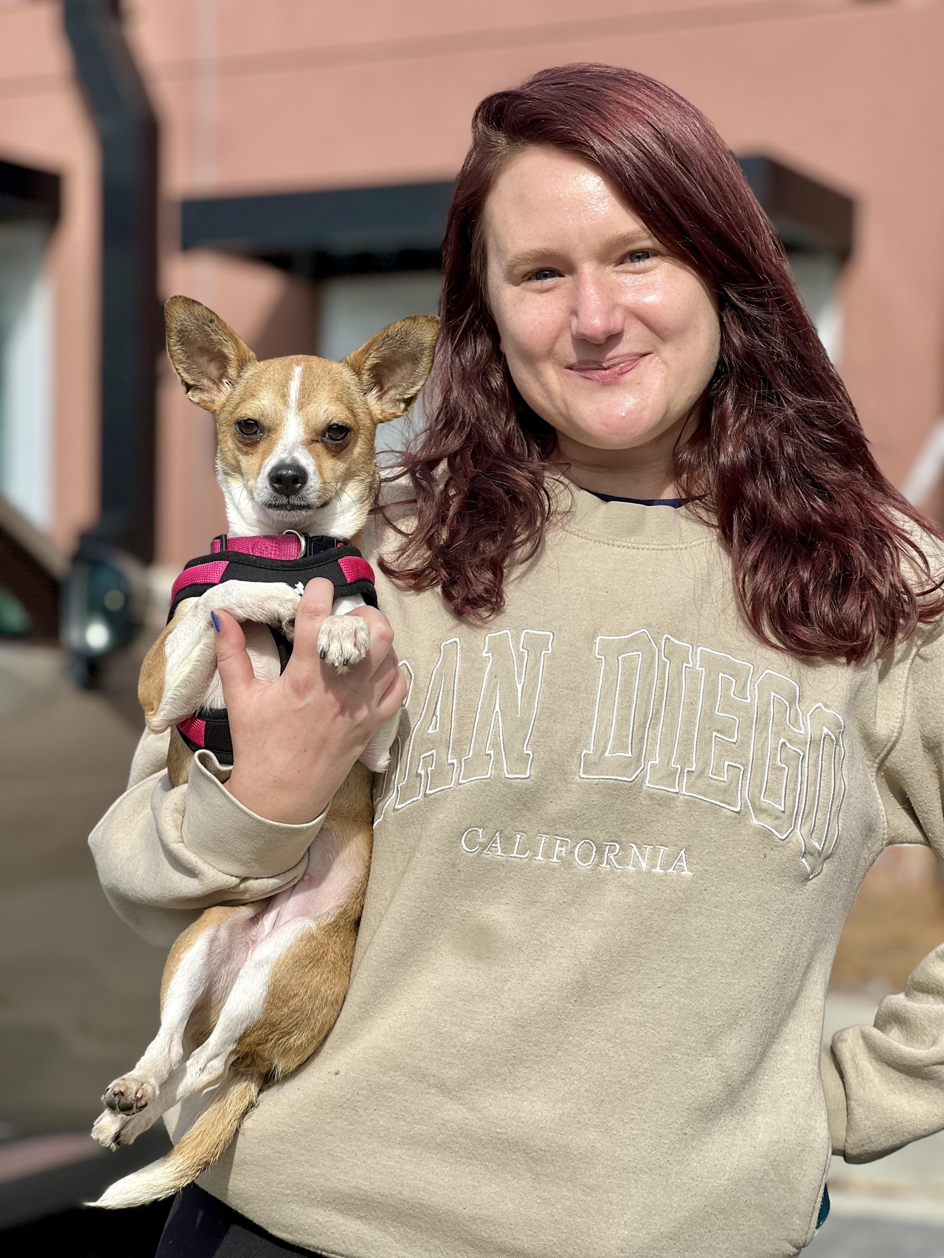 Enlarge Paris, a ADOPTABLE mixed breed in Mt Pleasant, SC image 2/6