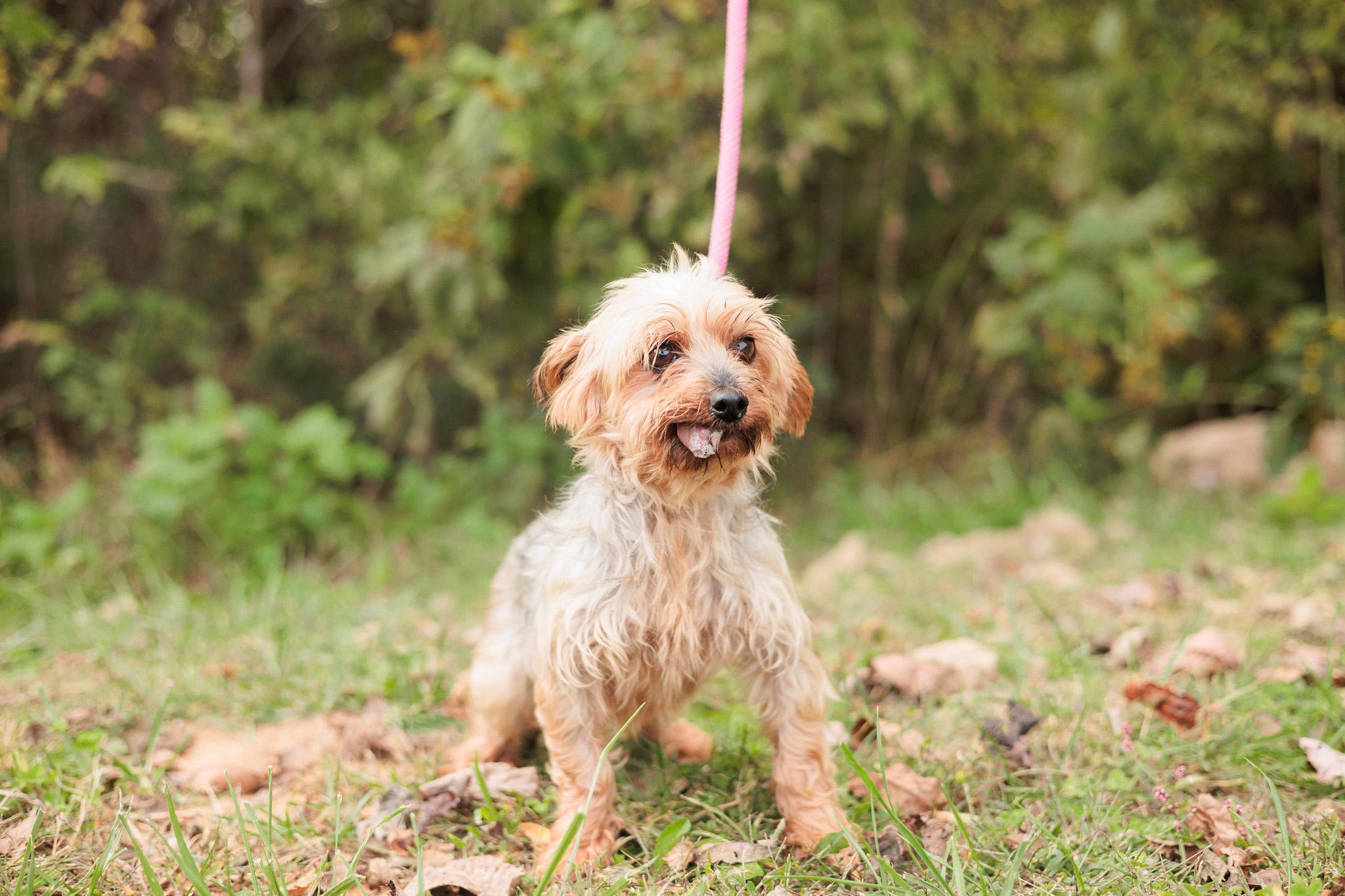 Winifred — thumbnail 2