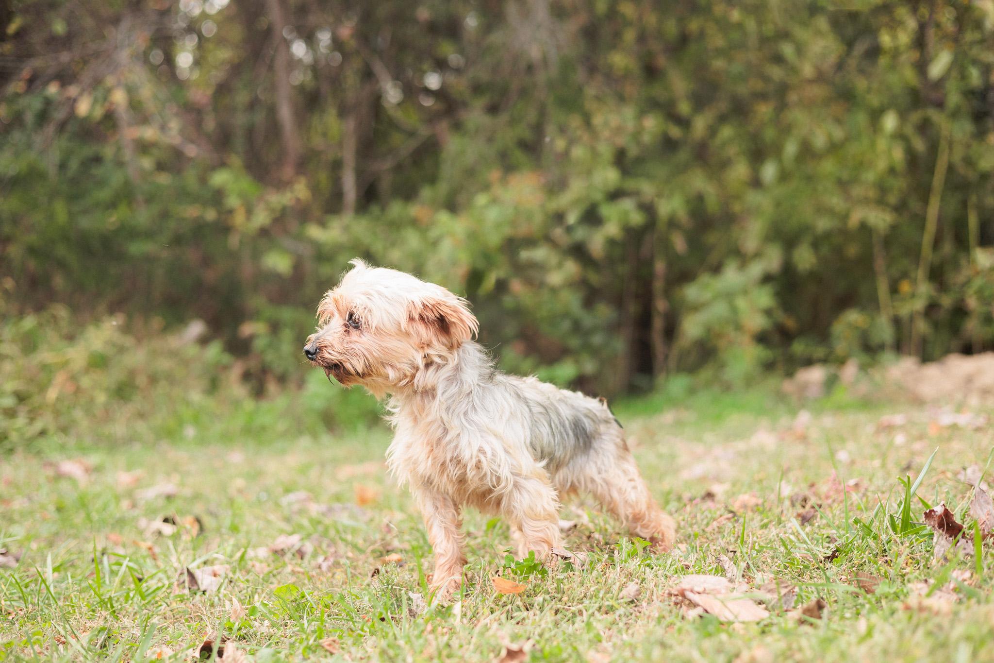 Winifred — thumbnail 5