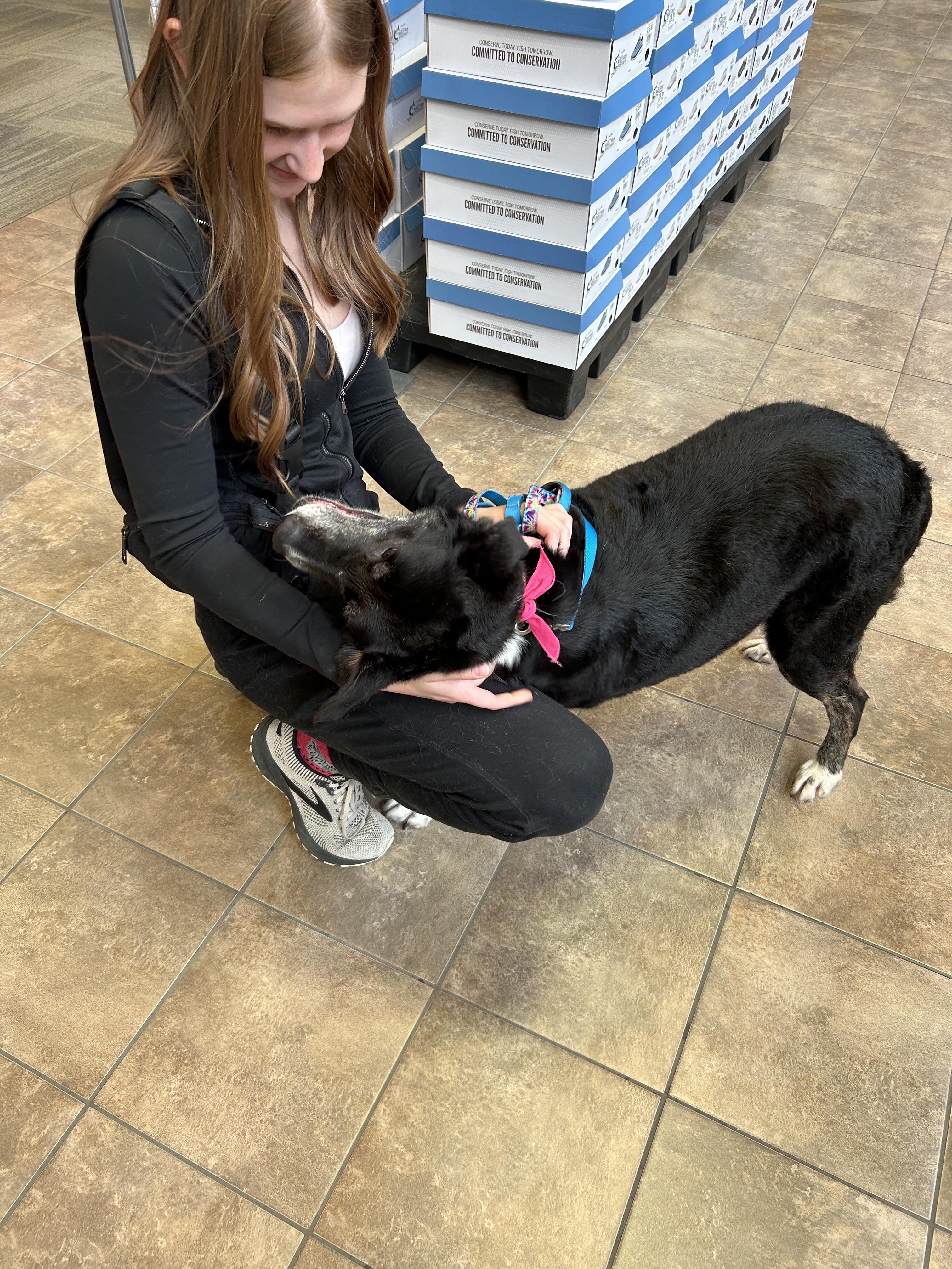 Enlarge Rose, an adoptable mixed breed in Zimmerman, MN image 4/6