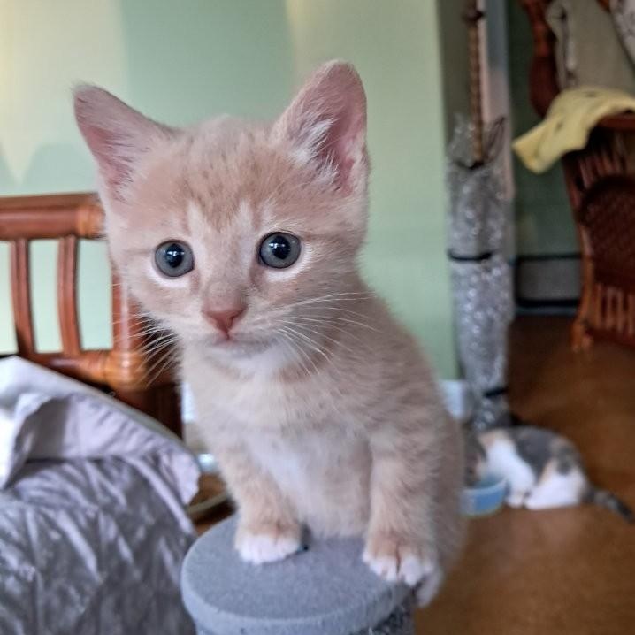 Mr. Snuggles