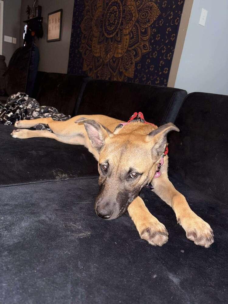 Maybel  Located In thumbnail 2