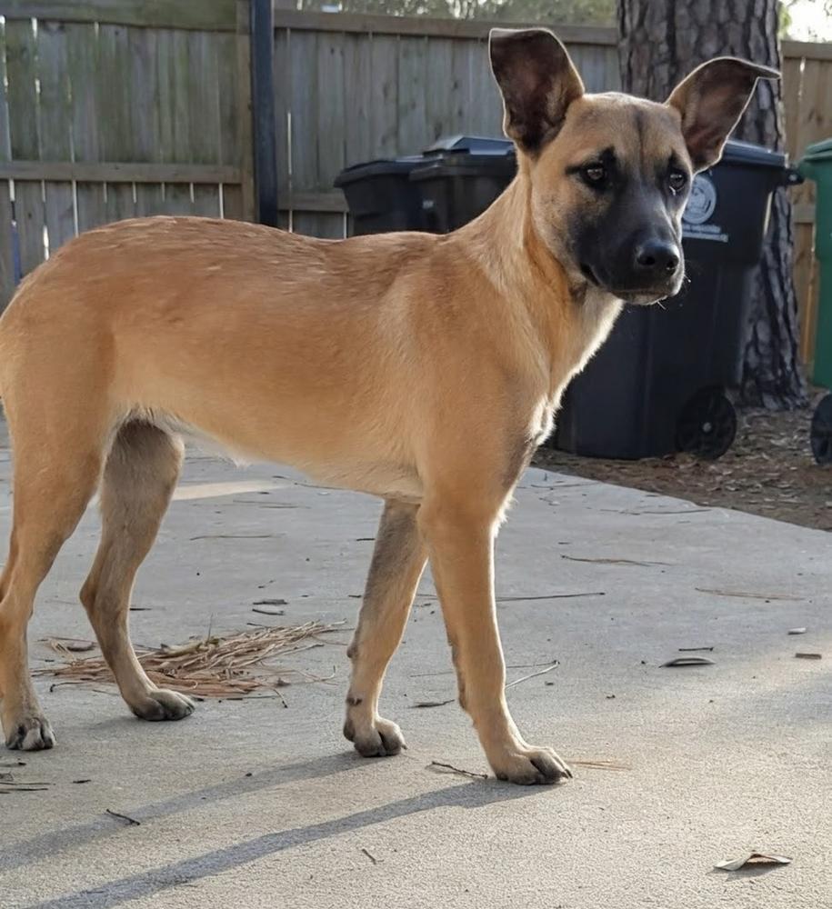 Maybel  Located In thumbnail 3