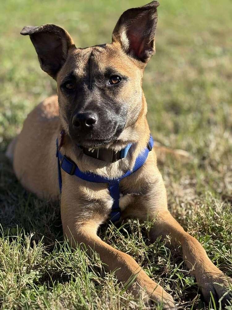 Maybel  Located In thumbnail 4