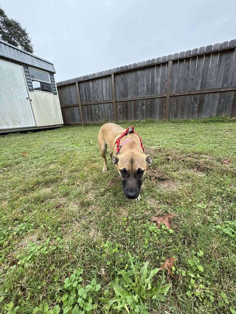 Maybel  Located In thumbnail 5