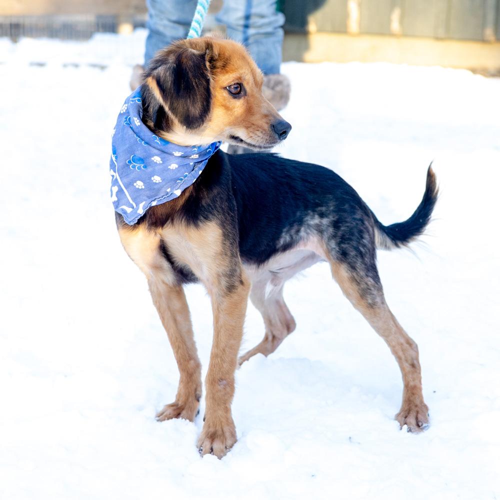 Rayavail thumbnail 2