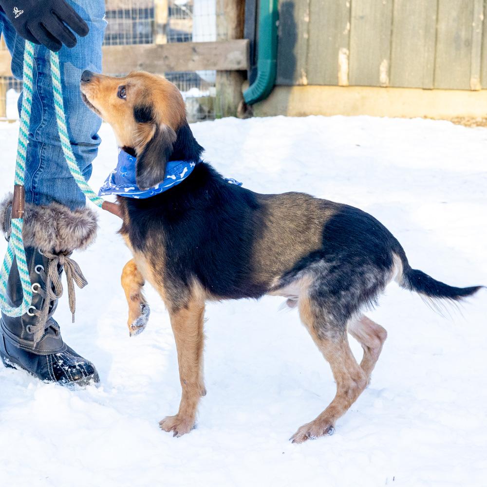 Rayavail thumbnail 3