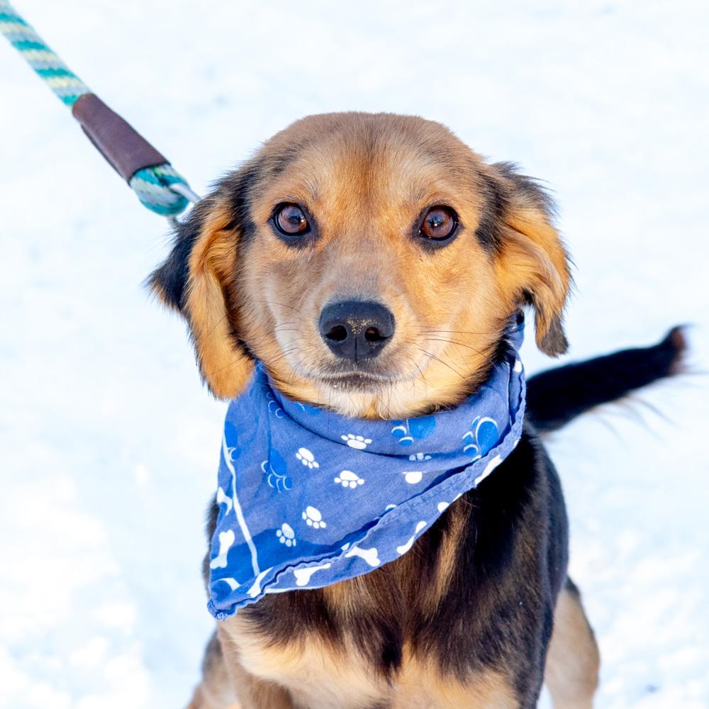 Rayavail thumbnail 4