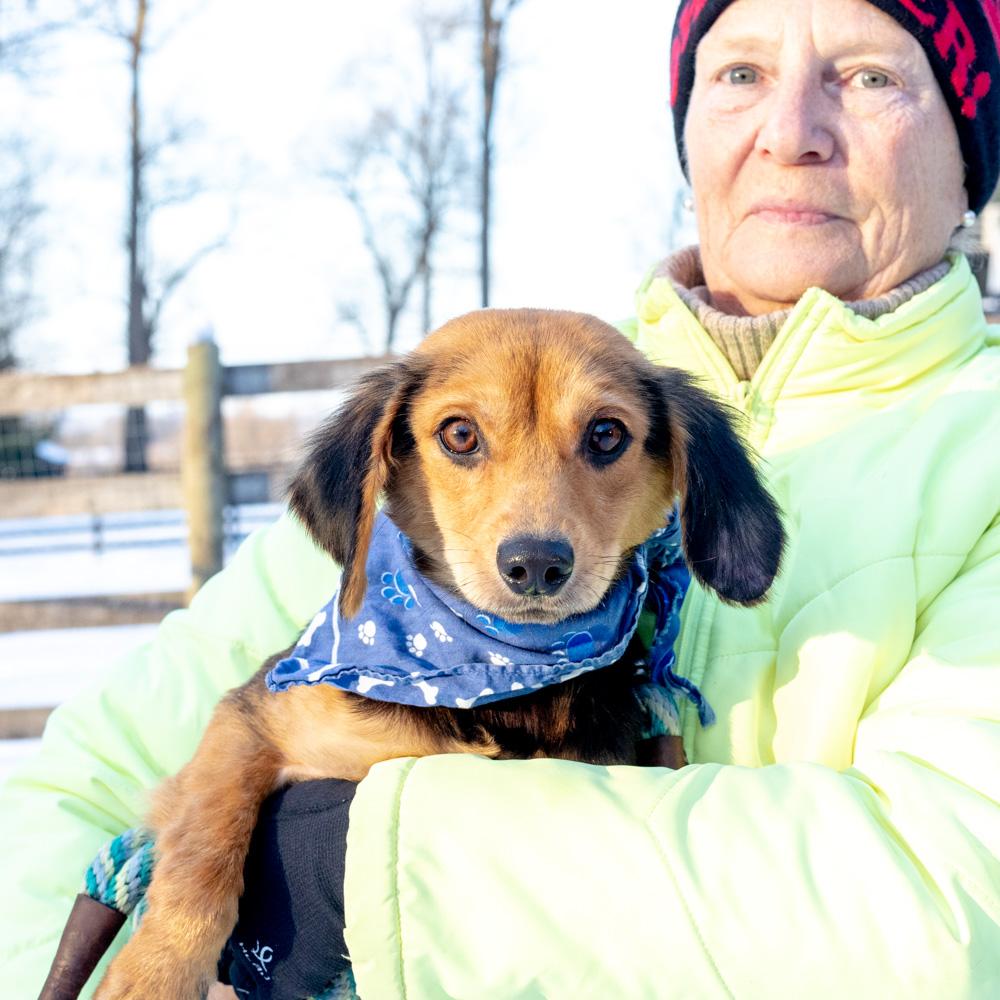 Rayavail thumbnail 5