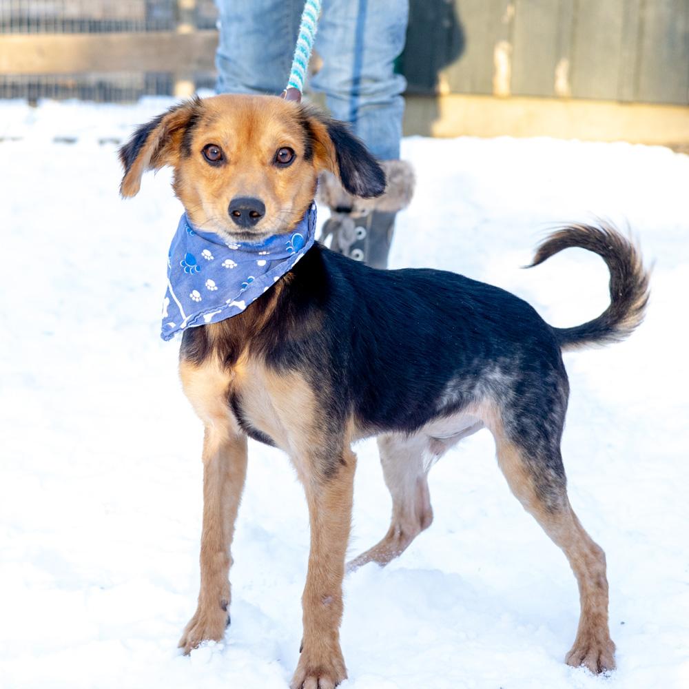 Rayavail thumbnail 6