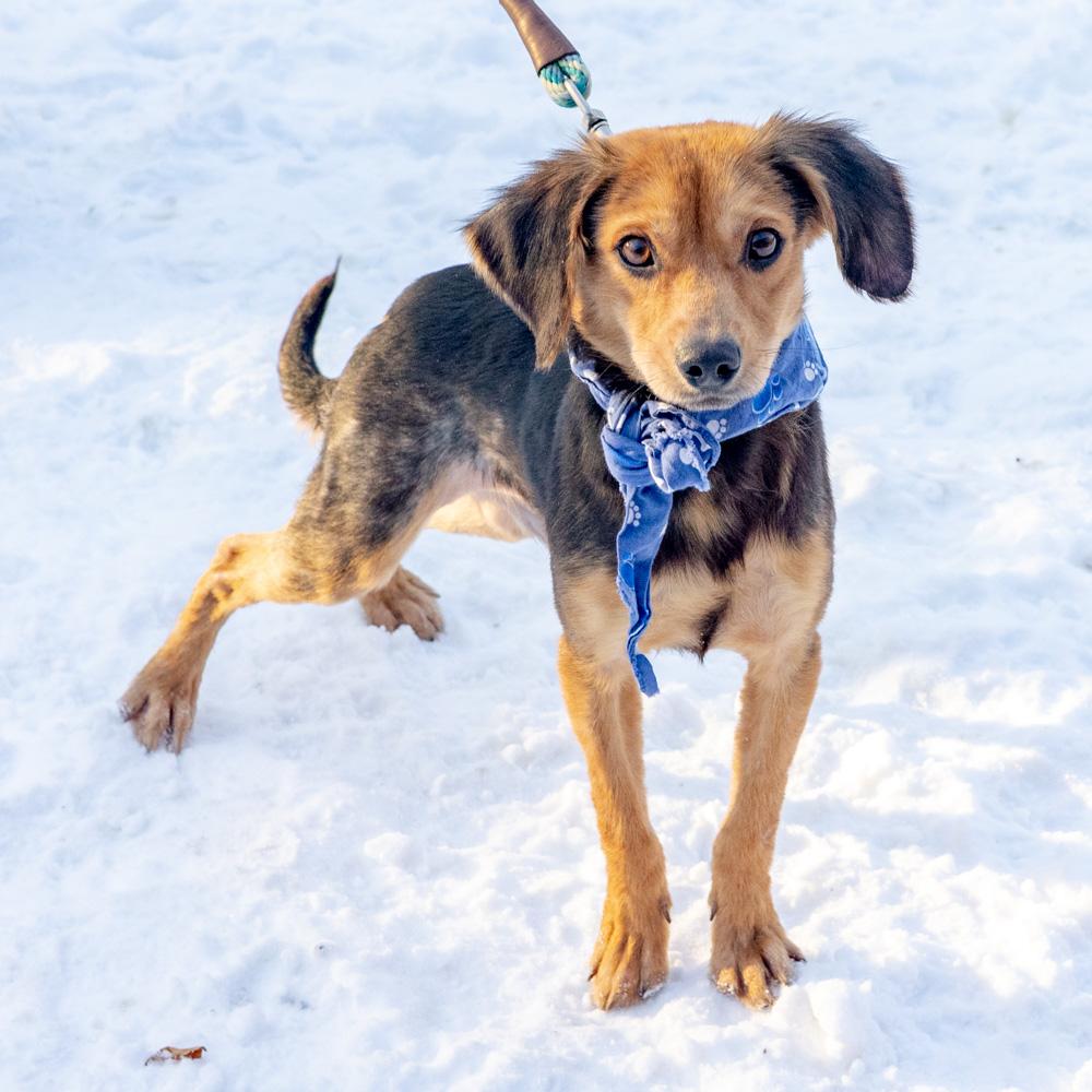 Rayavail thumbnail 7