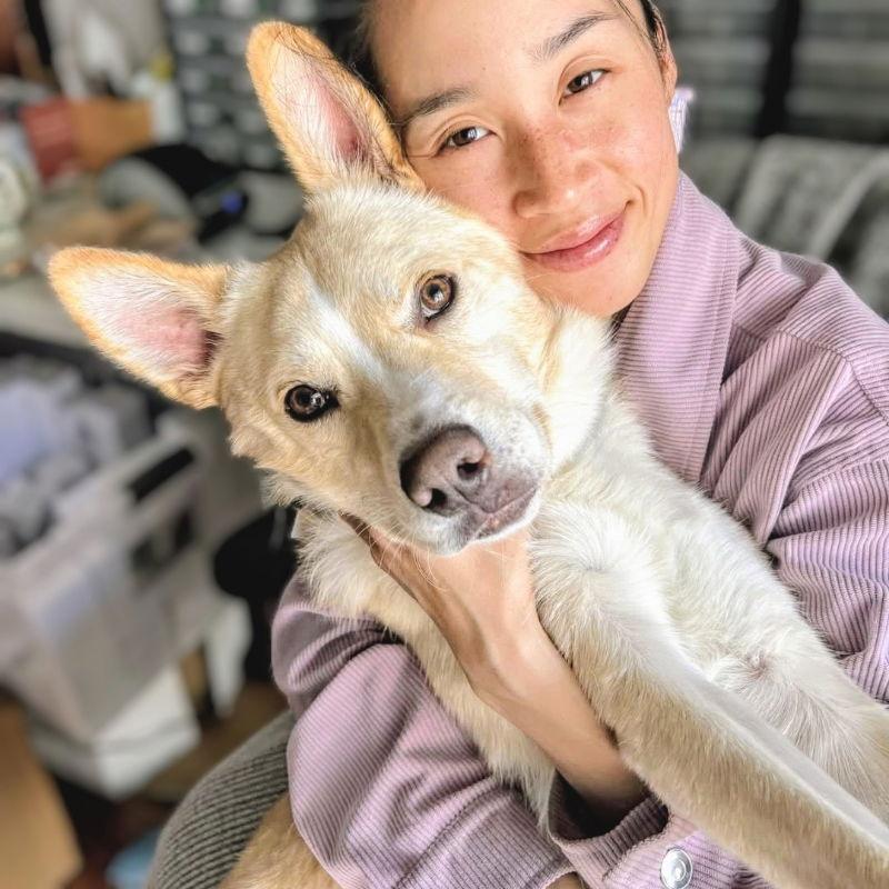 Carmine, a Adopted Australian Cattle Dog / Blue Heeler in Oakland, CA image 2/6