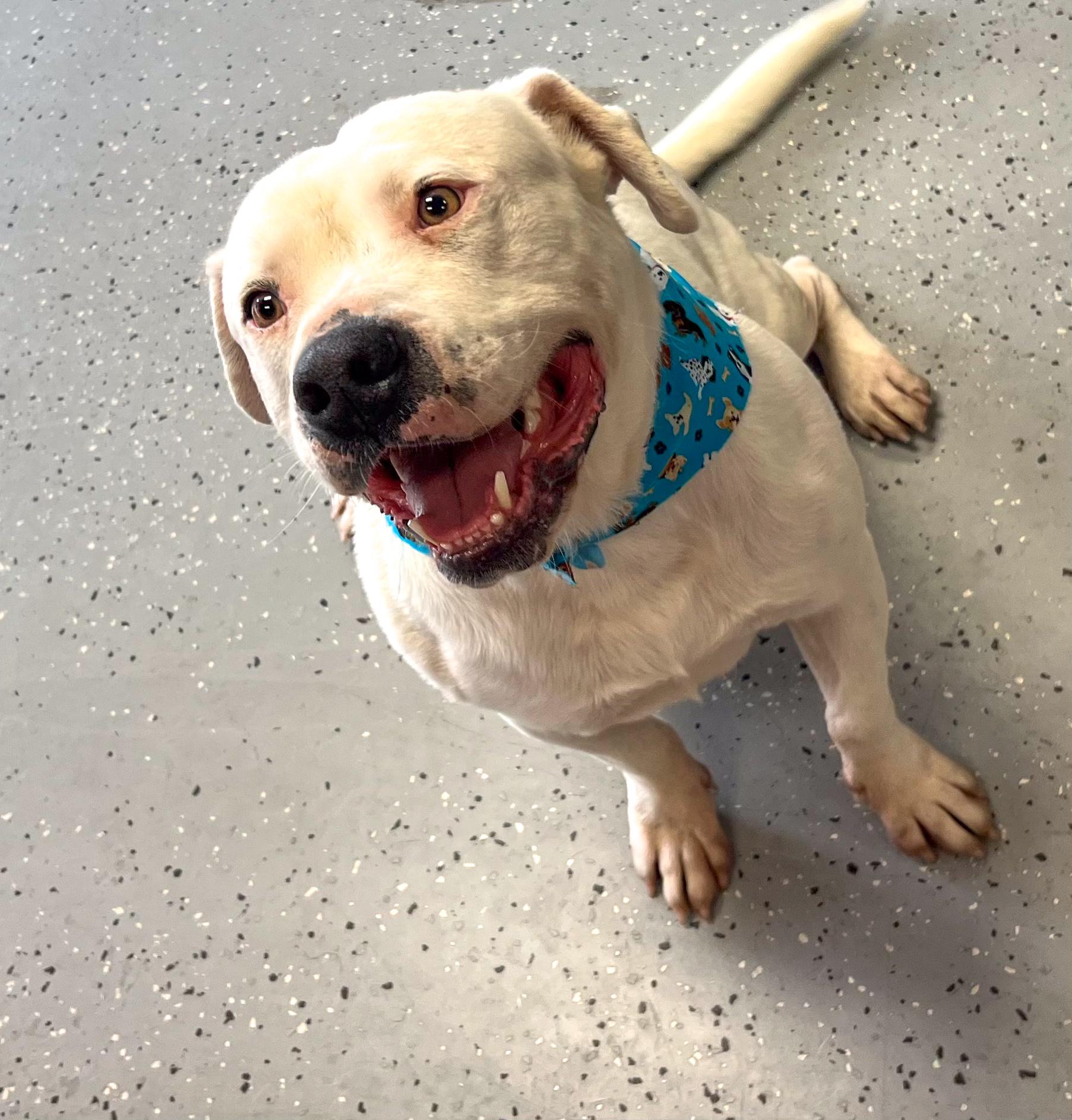 Frosty — thumbnail 5