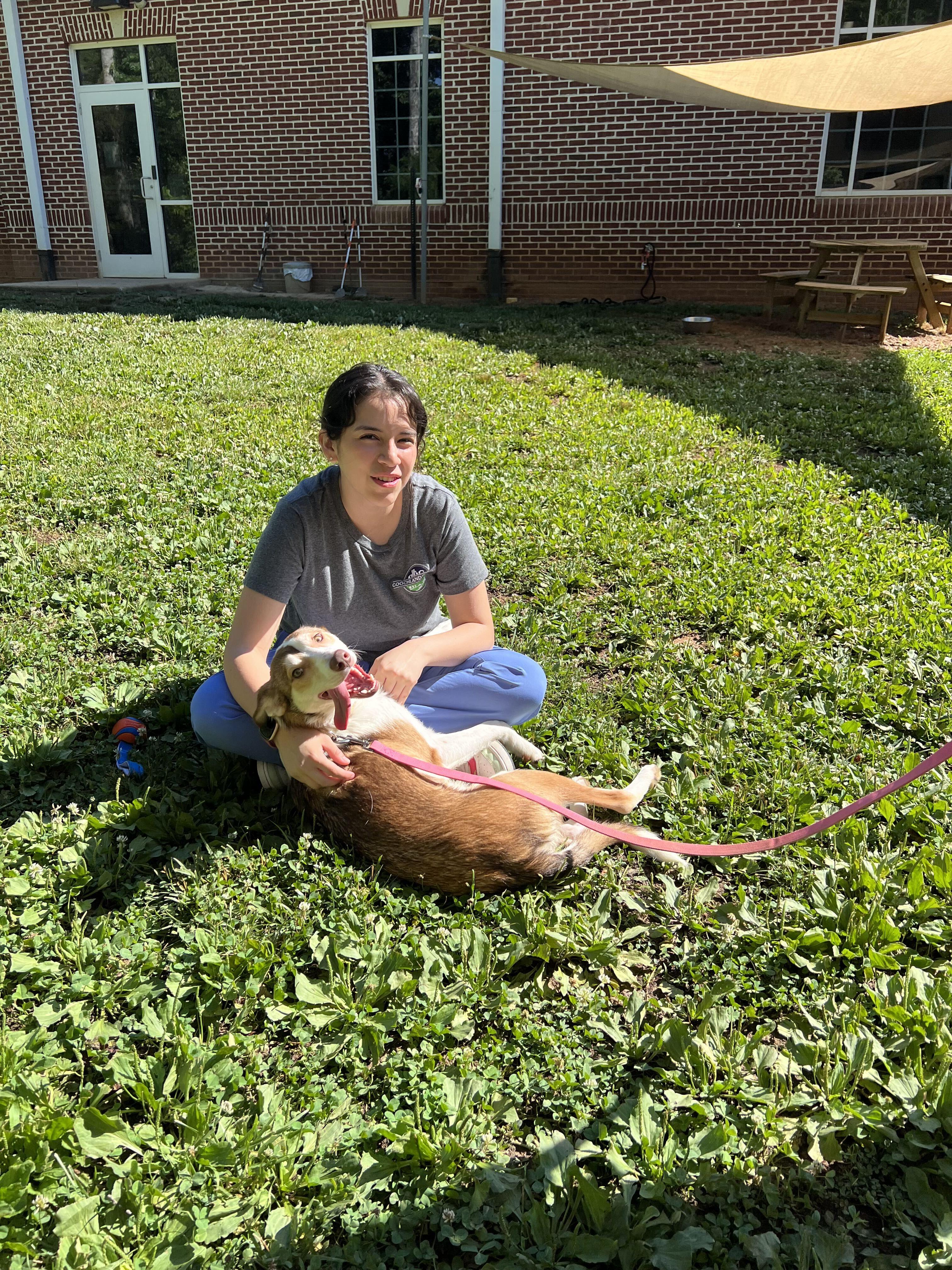 Mira, a ADOPTABLE mixed breed in Maidens, VA image 3/6