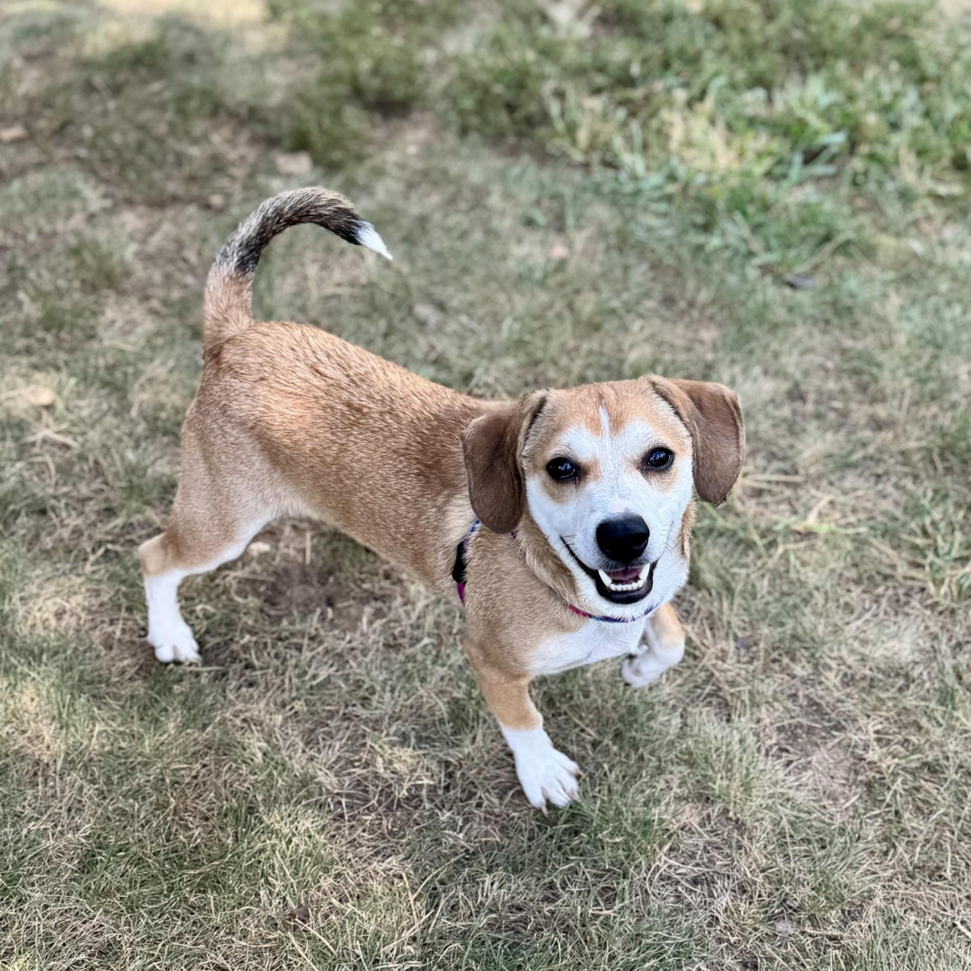 Trent Garret & Cody Callahan