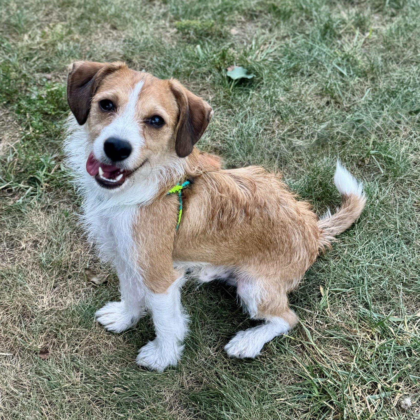 Trent Garret & Cody Callahan