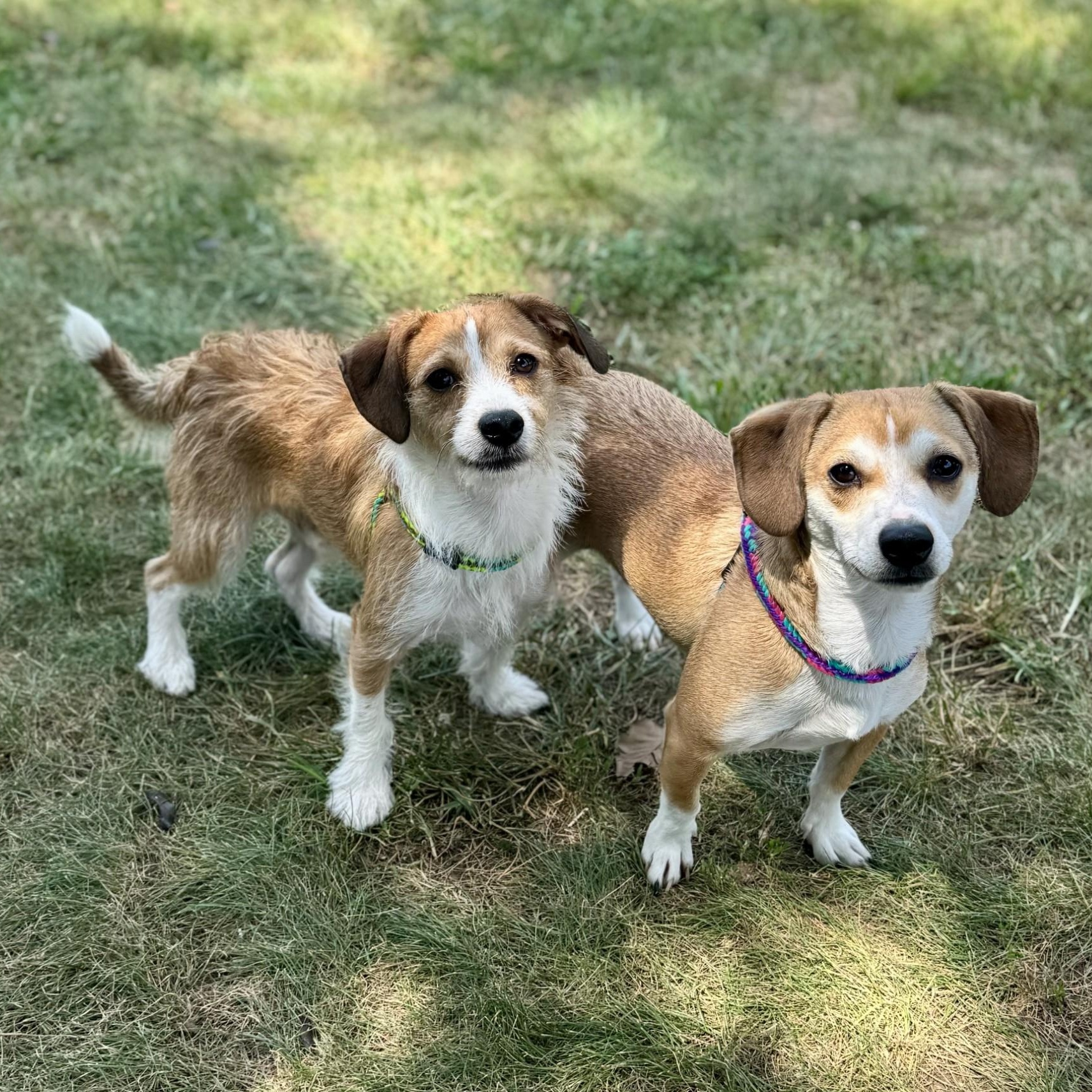Trent Garret & Cody Callahan