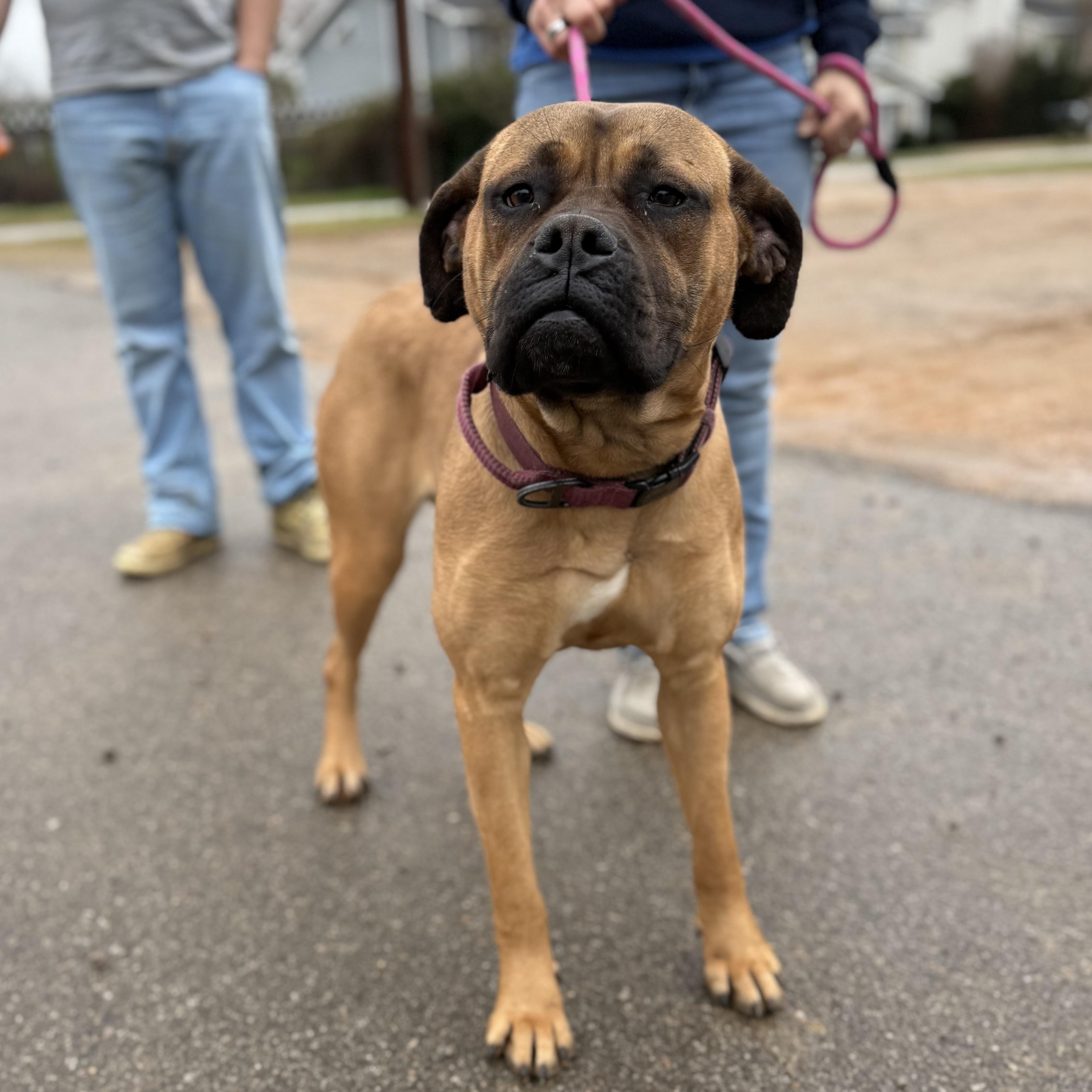 Mary — thumbnail 3