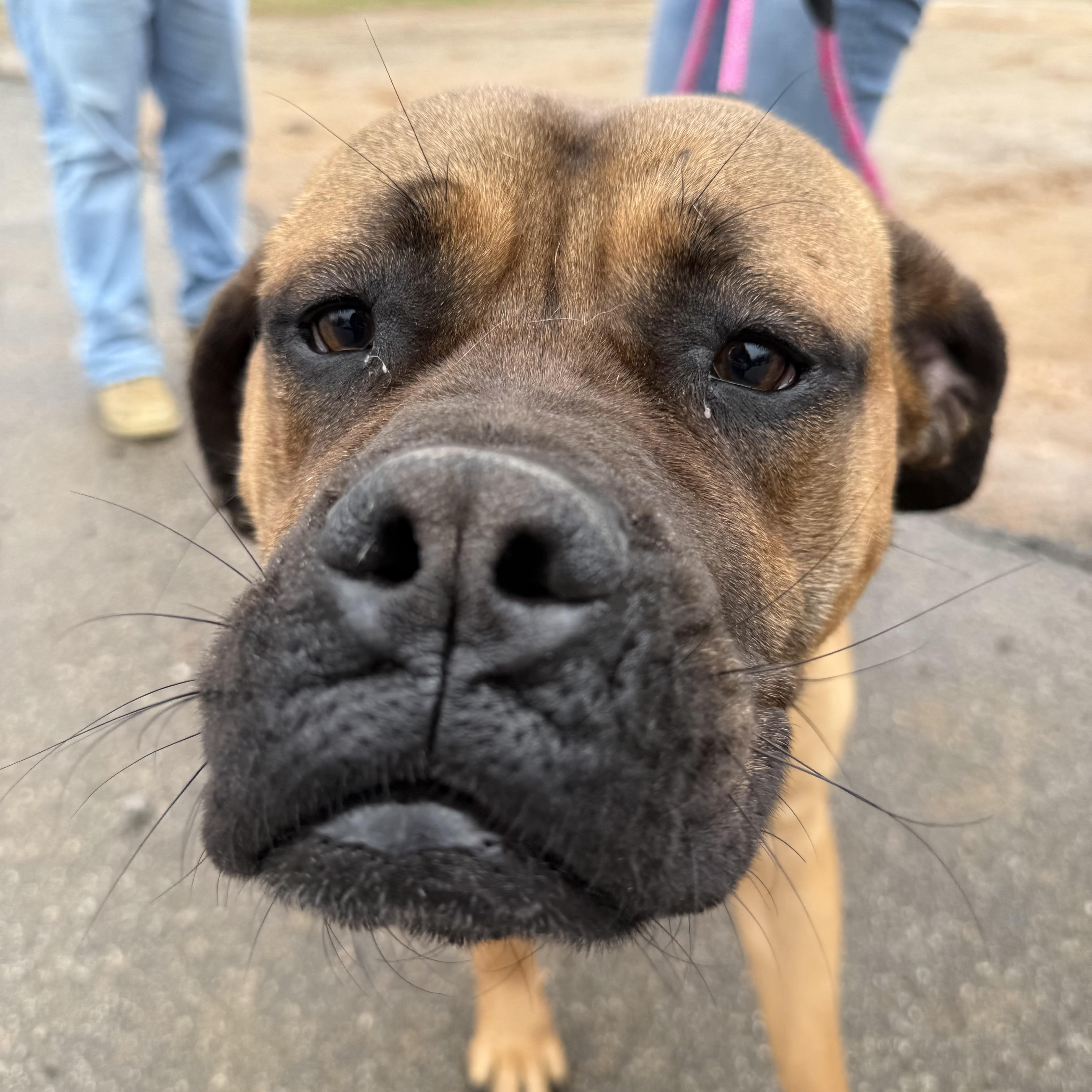 Mary — thumbnail 4