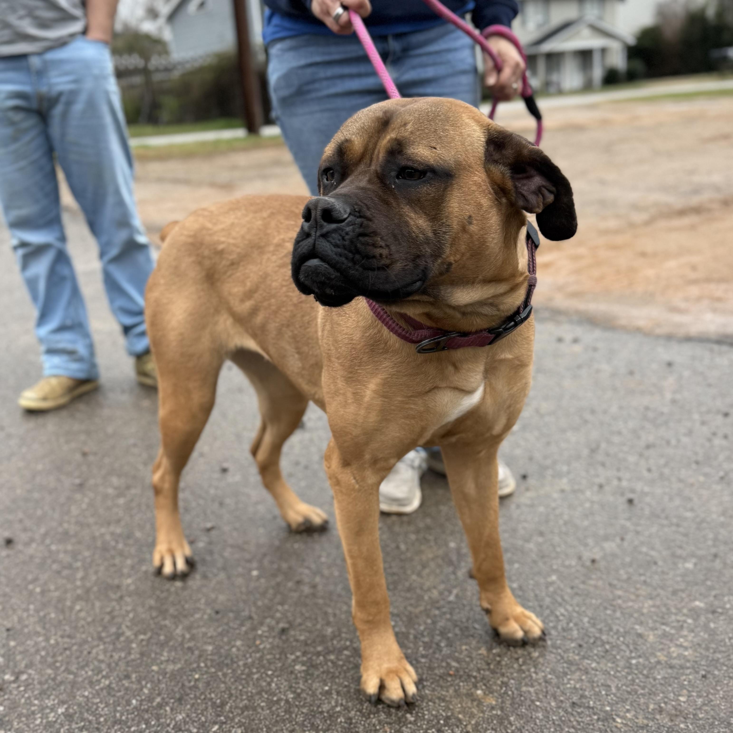 Mary — thumbnail 5