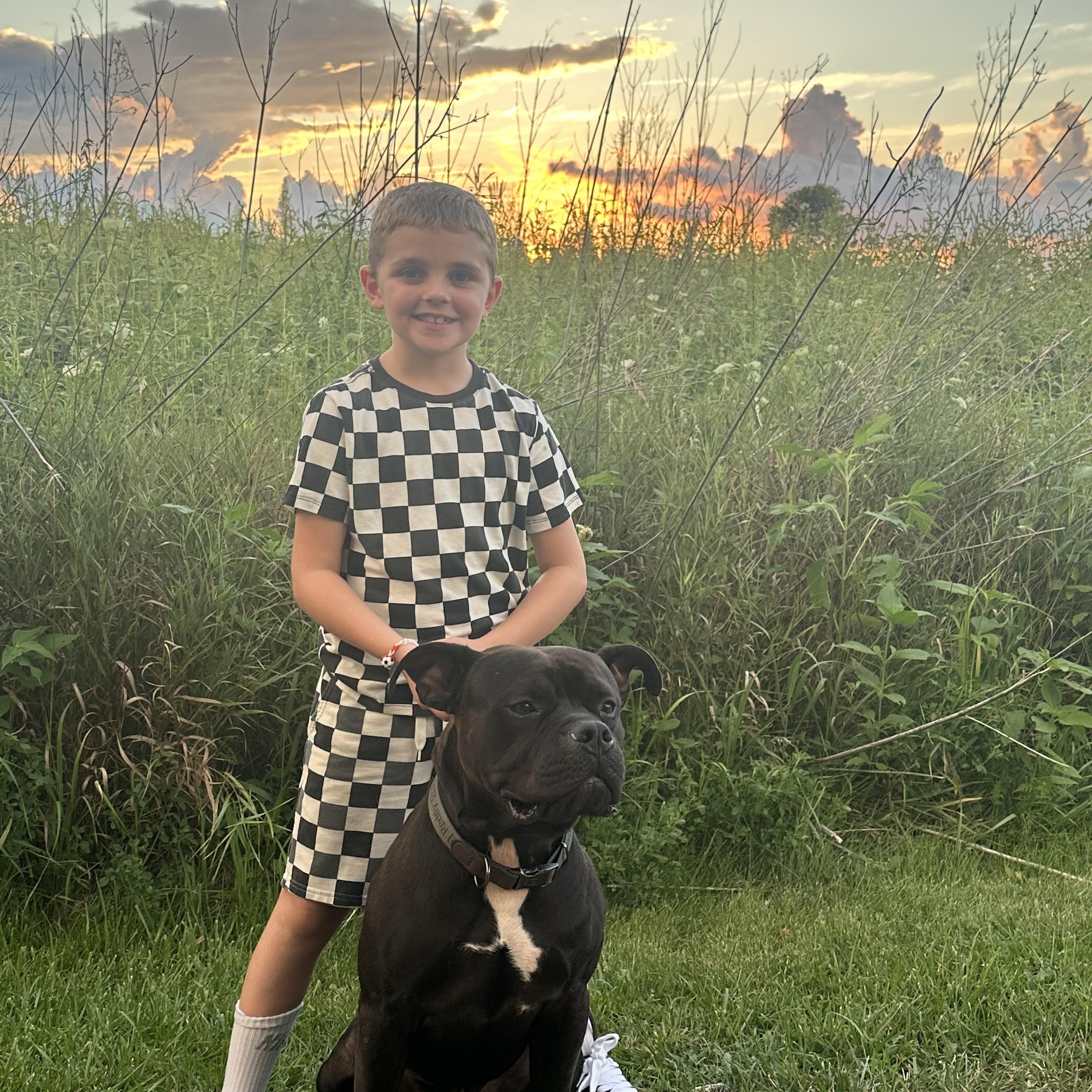 Enlarge Jimmy Hendrix, a Adoptable mixed breed in Cary, IL image 4/5