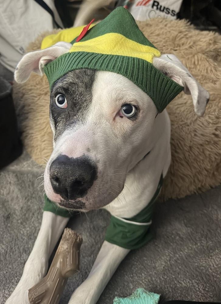 Zero (Twix Kit Kat's Litter)