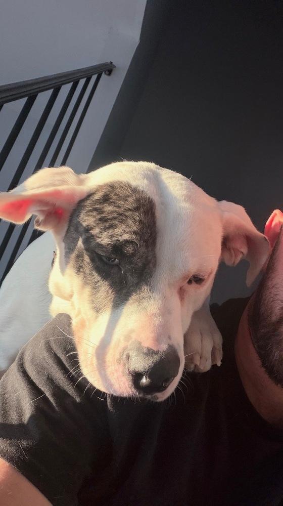 Zero (Twix Kit Kat's Litter) — thumbnail 3