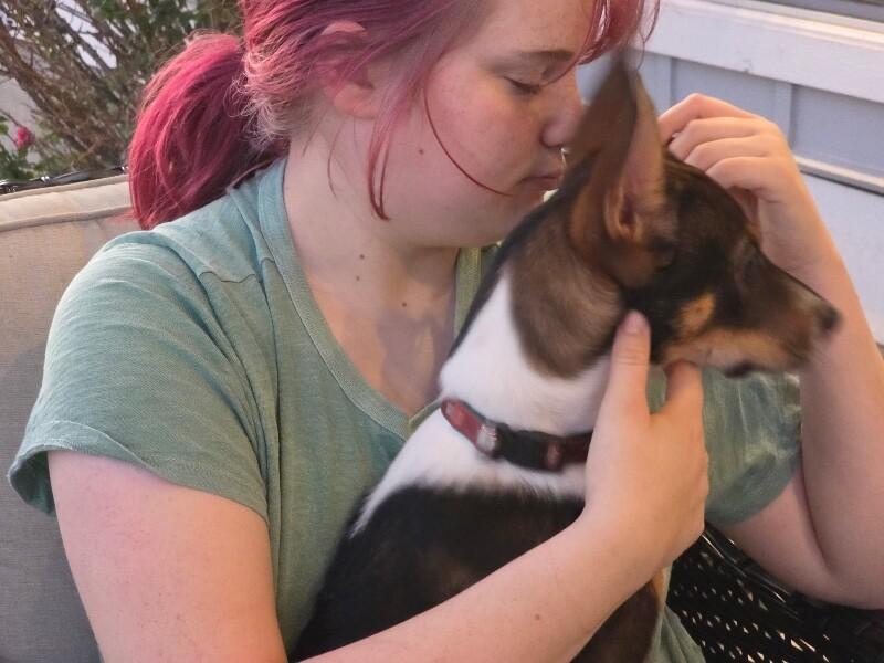 Crosby Rose Petite Girl — thumbnail 5