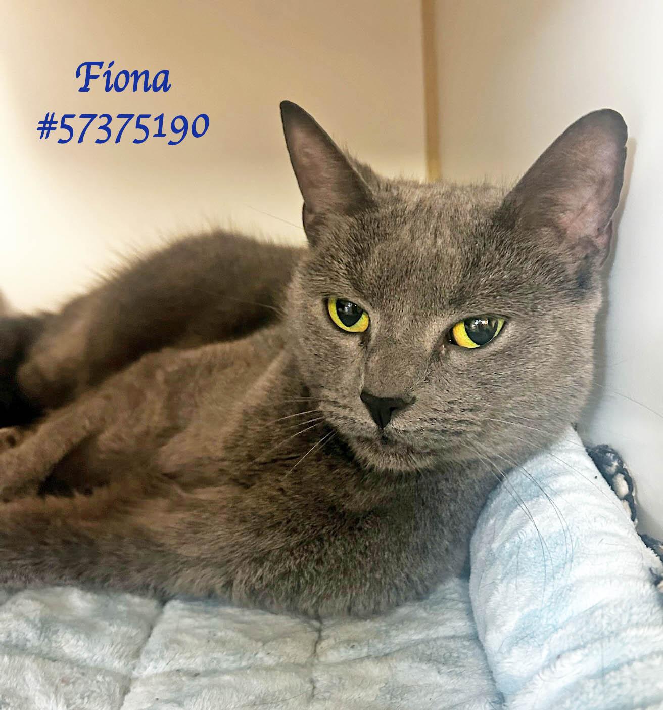 Fiona