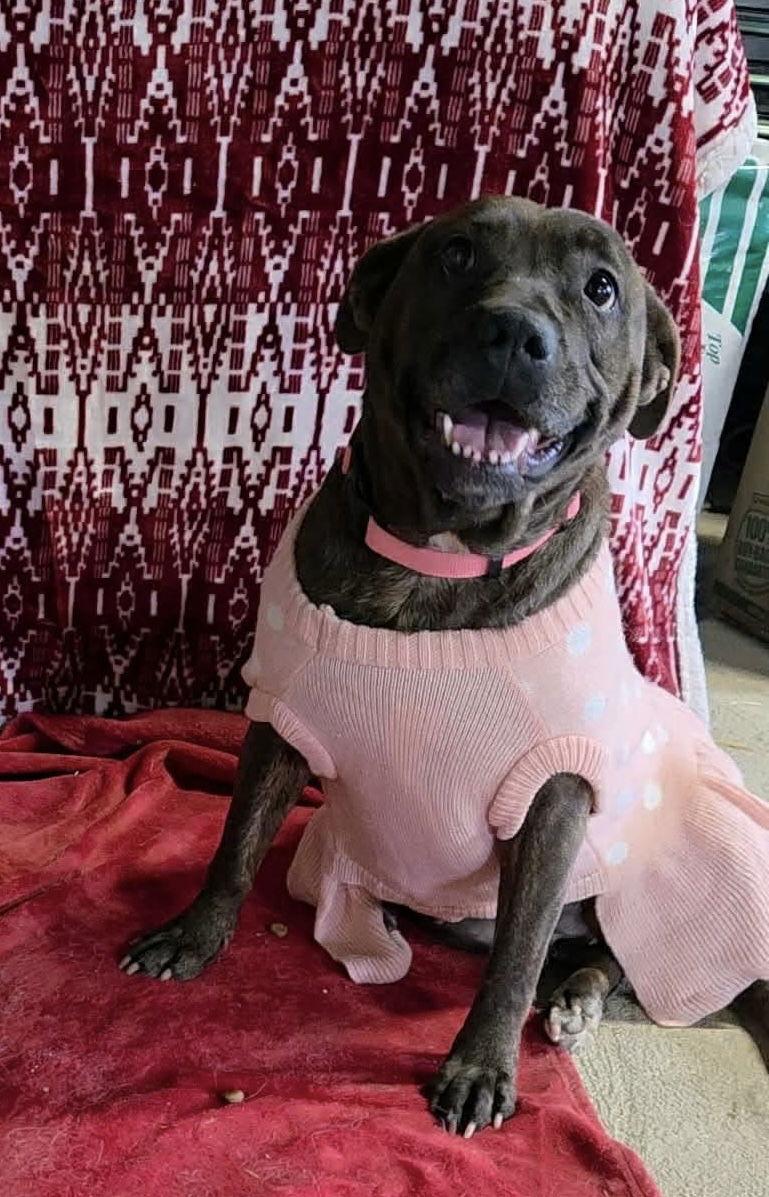 Mallow Cup thumbnail 4