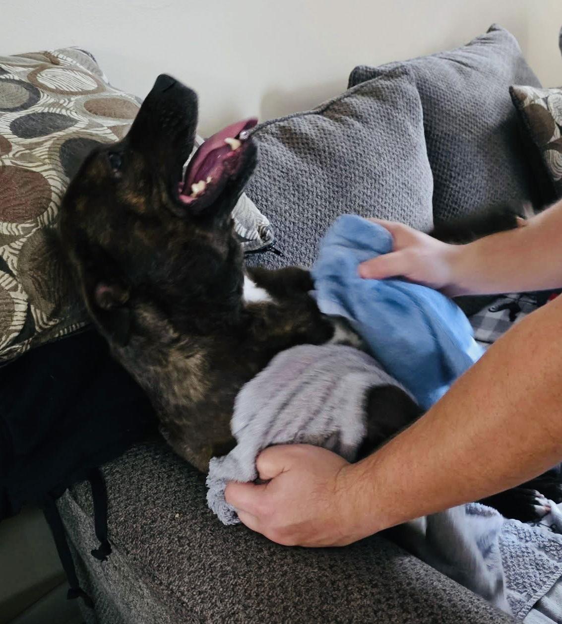 Mallow Cup — thumbnail 2